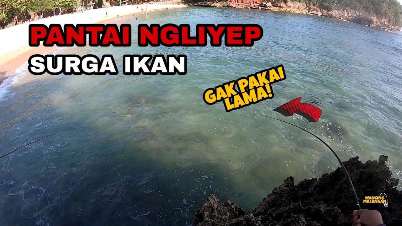 PASTI STRIKE! Mancing ikan belanak di tepian pantai ngliyep - MMeps. 116