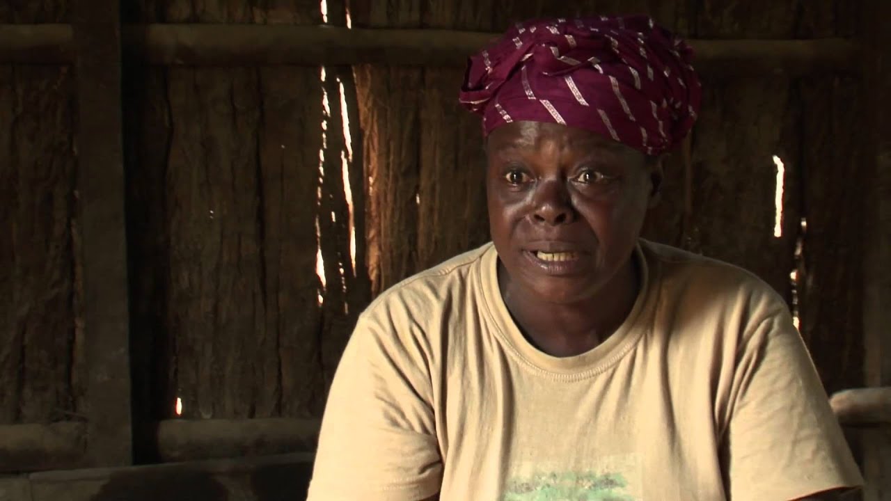 Les premières forêts communautaires du Gabon - Bonus 2 (3/3)