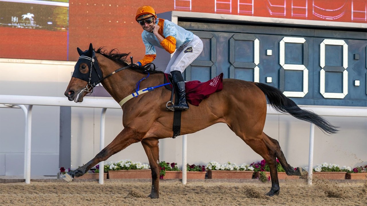 RM 49  Al Rayyan Race 4 -  H.H. The Amir Sword Festival - Day 2
