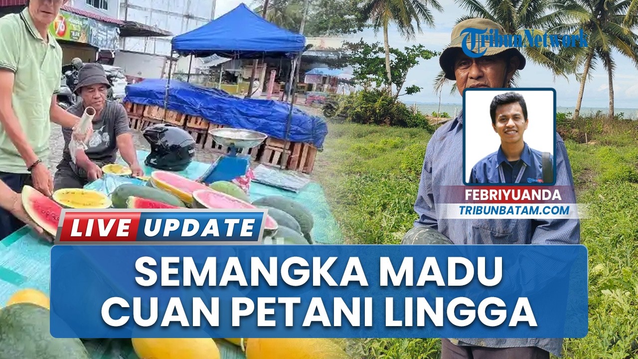 Petani Singkep Lingga Raup Cuan dari Panen Raya Semangka Madu, Bersaing dengan Hasil Luar Daerah