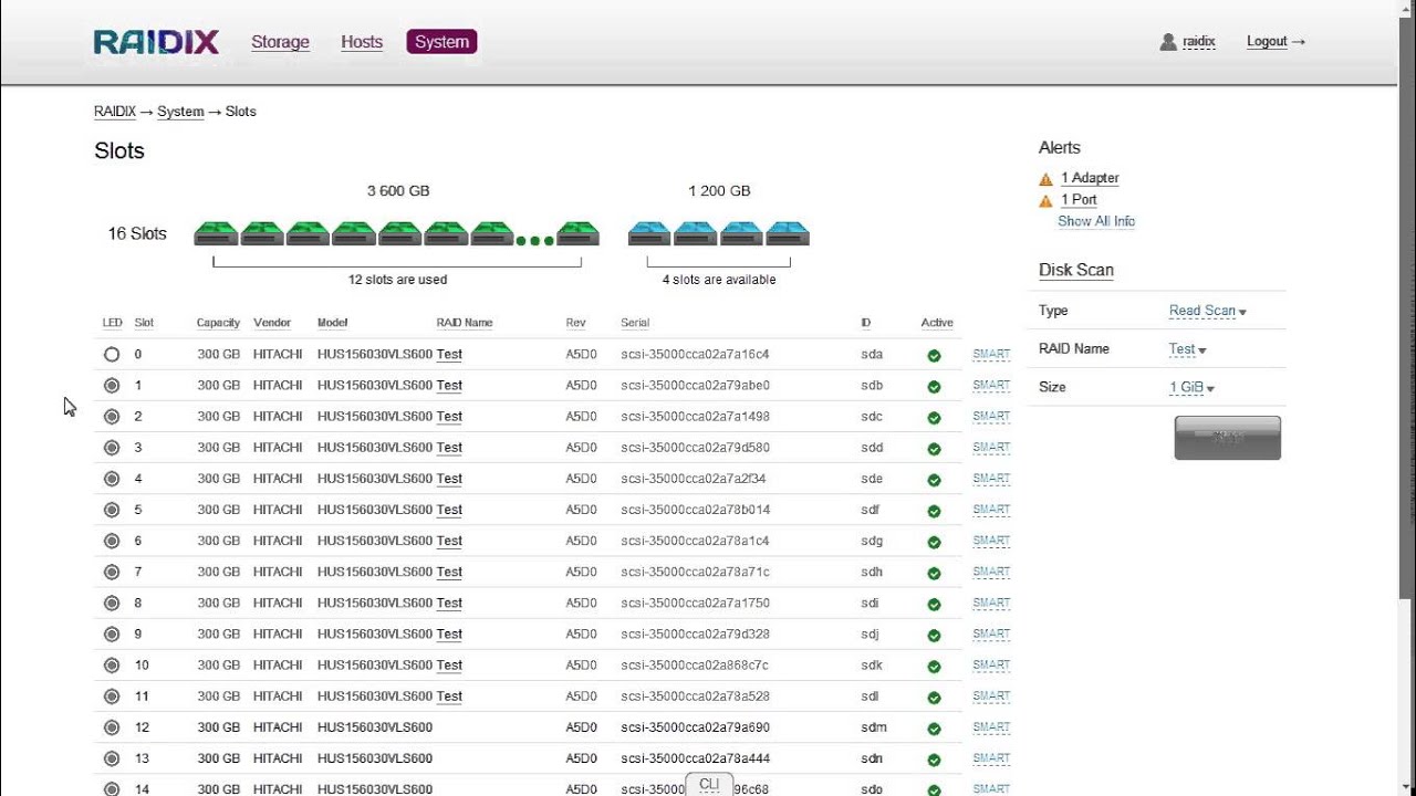 RAIDIX Demo
