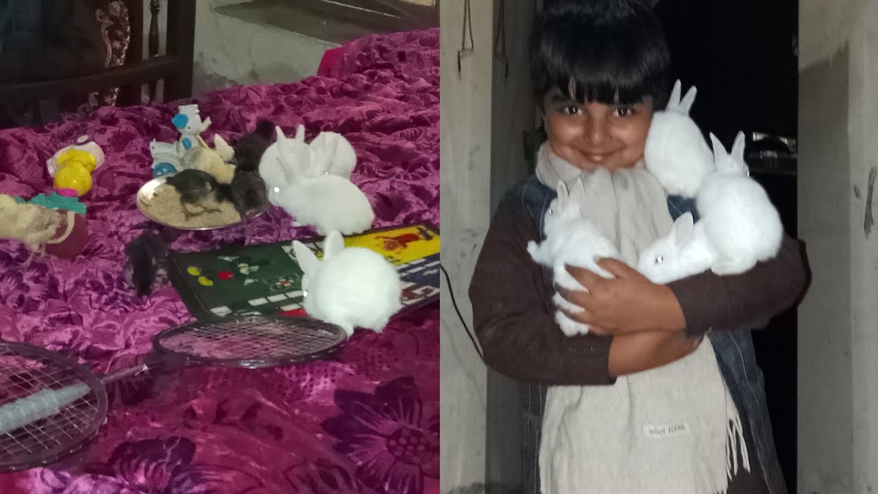 Hamara rabbits na baby de diya 😱😁