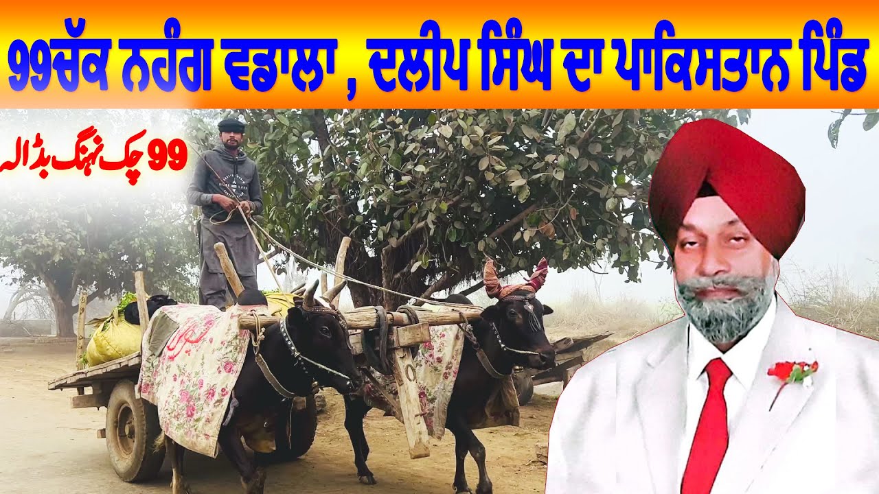 Bapu Da Pind | Avtar Singh Gill's Native Village | 99 Chak Nehang Badala Jaranwala | Historical pind