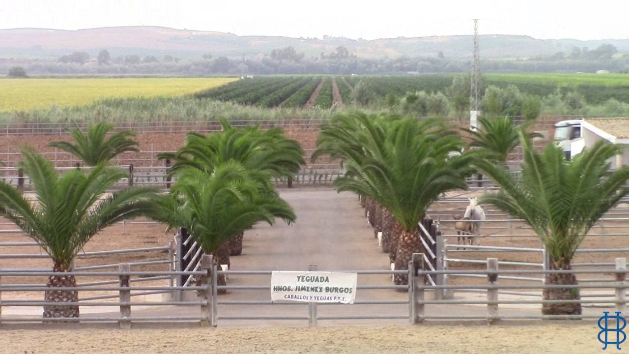 Yeguada Jiménez Burgos - INSTALACIONES