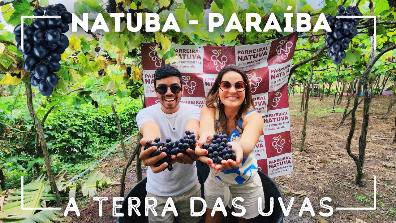 NATUBA PB - A terra das uvas - Uma experiência única no agreste paraibano 