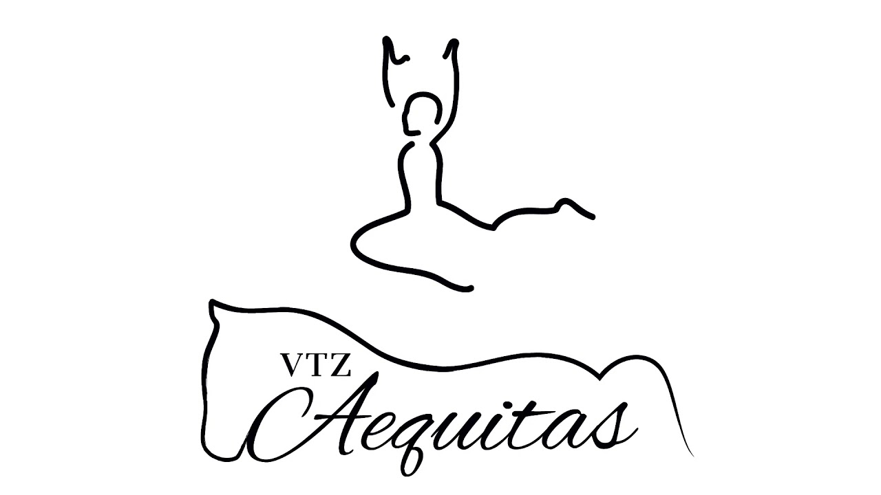 Vorstellungsvideo | VTZ Aequitas