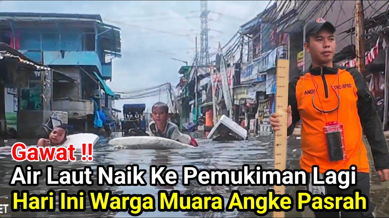 Gawat‼️Air Laut Naik Lagi Hari Ini Warga Muara Angke Pasrah
