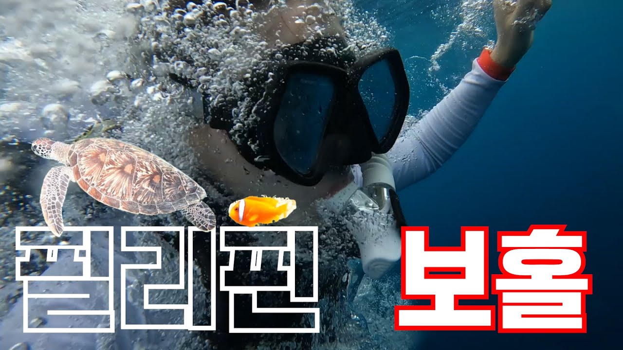 필리핀 #3 🇵🇭 보홀 | 더운 날에는 바닷속으로, 거북이는 발리카삭으로