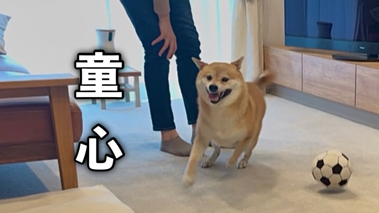 【ふたり暮らし】昔のようにはしゃぐ我が子が愛おしい