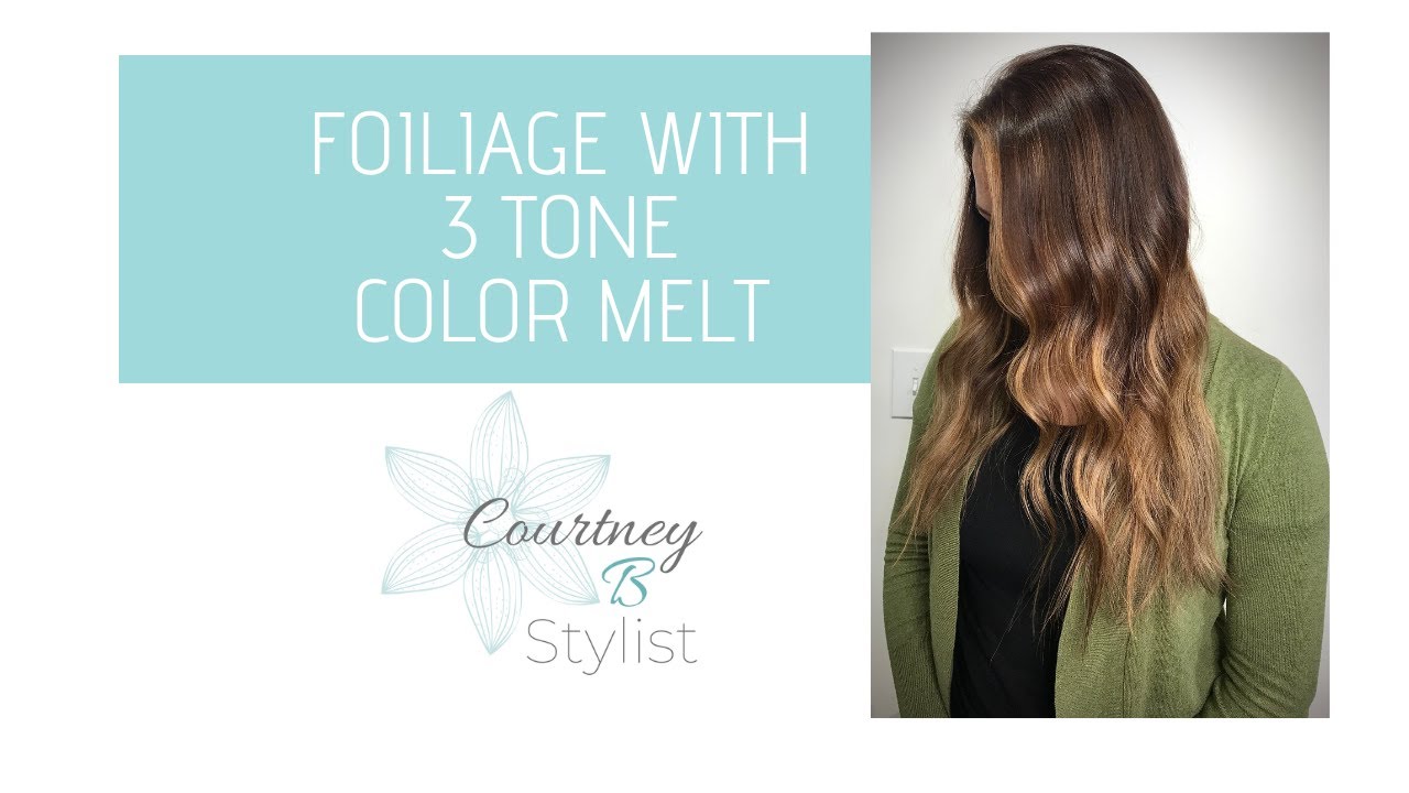 FOILIAGE ON DARK HAIR | COLOR MELT TONER