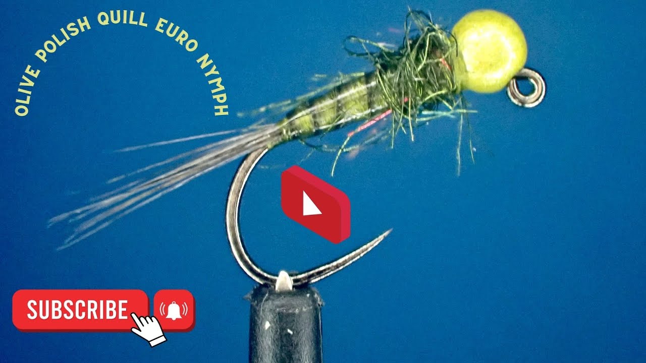 Tie the Ultimate Olive Polish Quill Euro Nymph | Fly Tying Made Easy