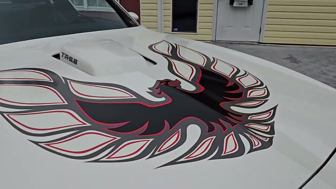 1 owner 1978 Pontiac Trans Am polar white 6.6 4 speed