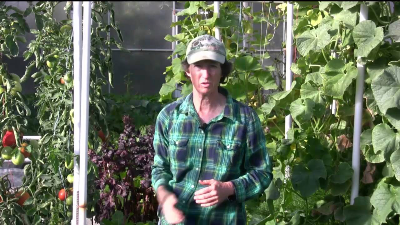 First Frost of the Season in the High Performance Garden