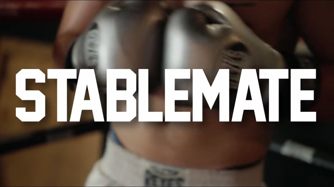 Stablemate (2024) - Short Film
