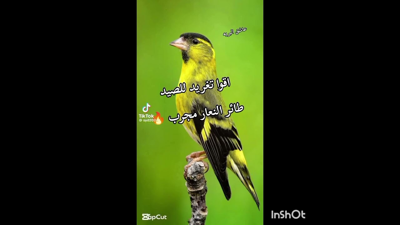 ٣٠ نوفمبر ٢٠٢٥