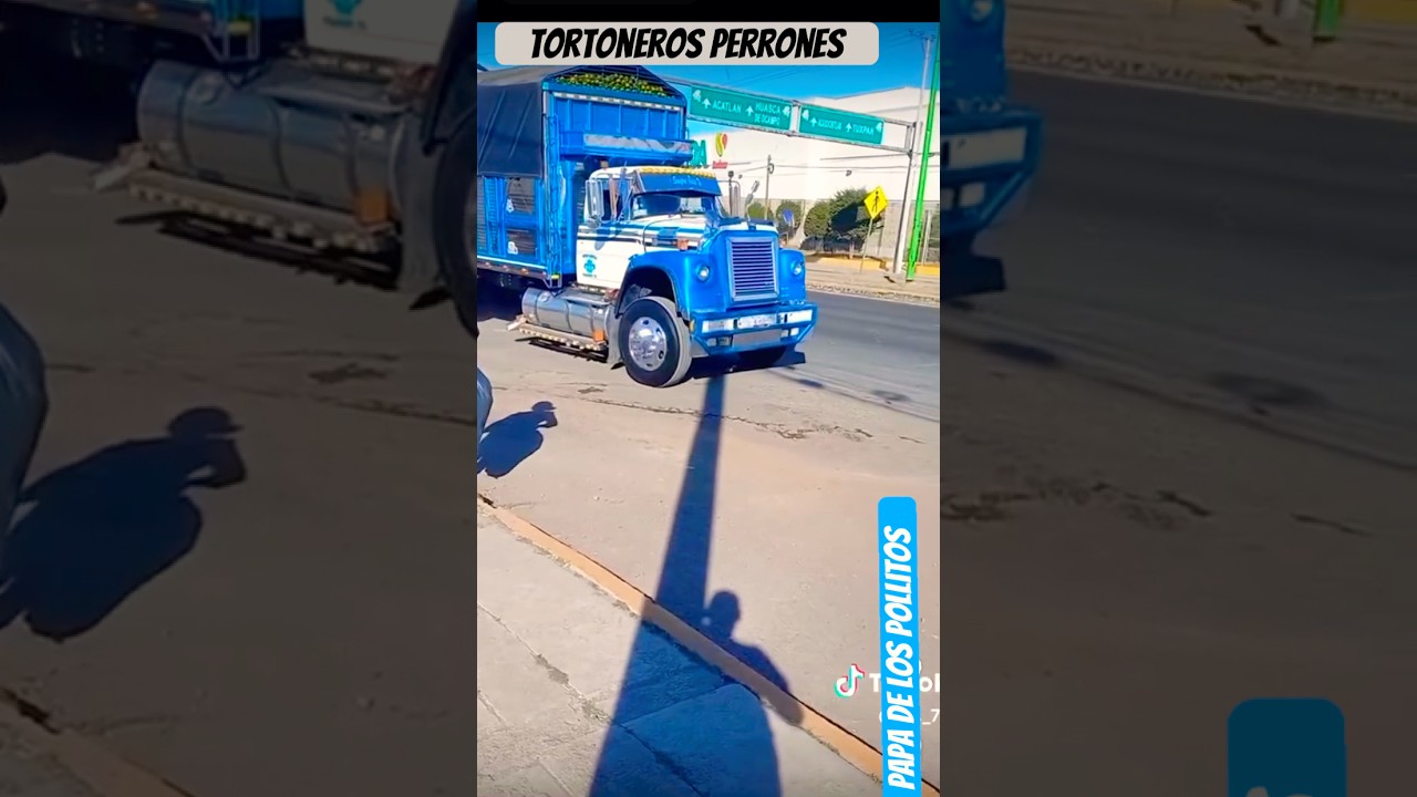 modulando el cargamento de limones🍋 con esta chulada carro torton Dina chulada papa