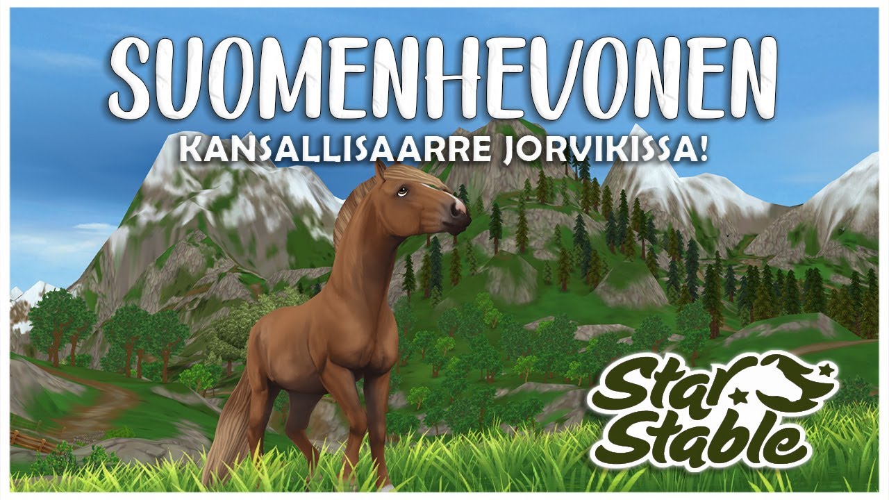 Suomenhevonen | SSO Suomi