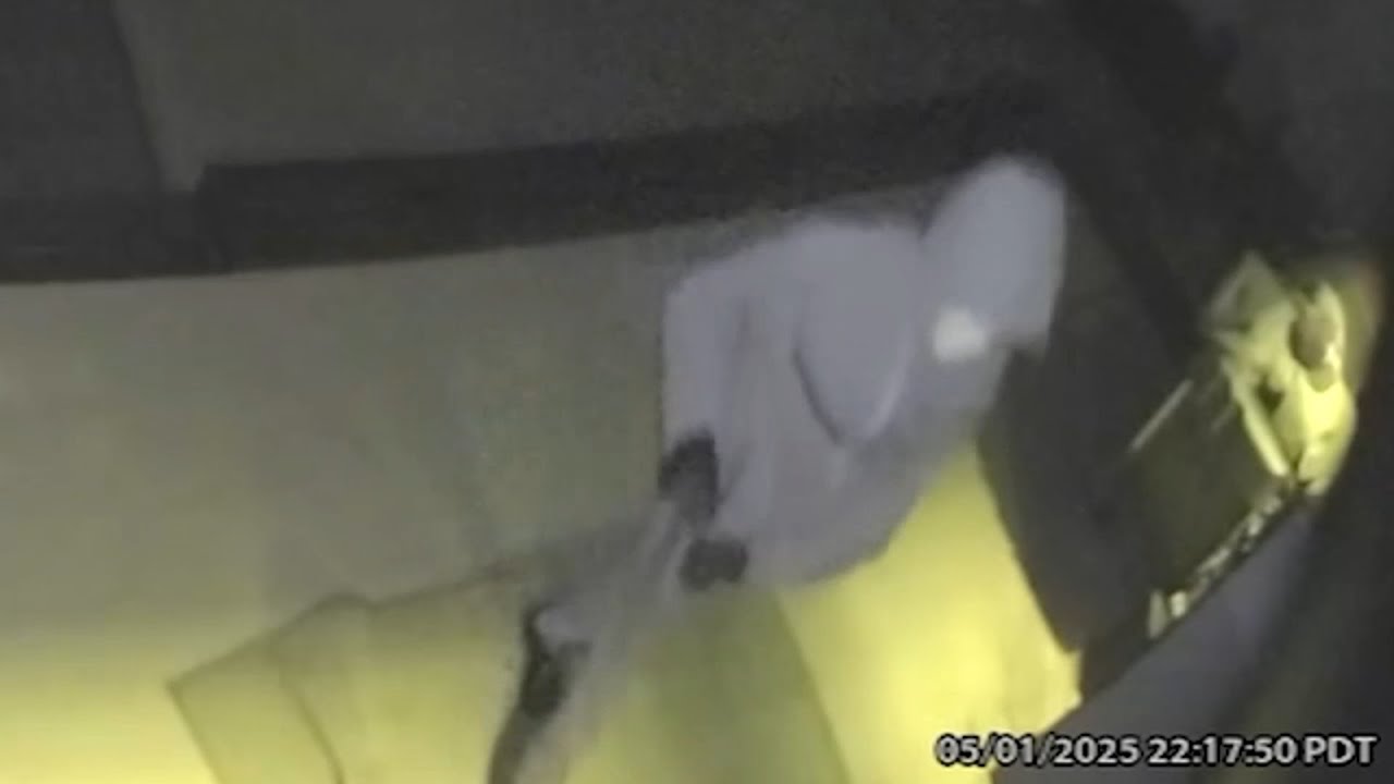 Burglars target Los Angeles home while homeowner and kids sleep: VIDEO