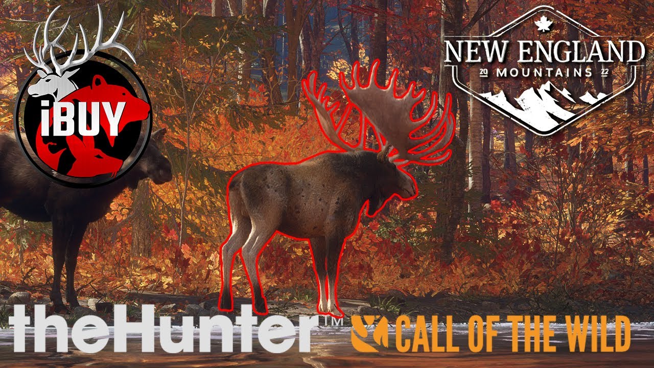 GREAT ONE MOOSE GRIND SETUP for NEW ENGLAND! | theHunter: Call of the Wild