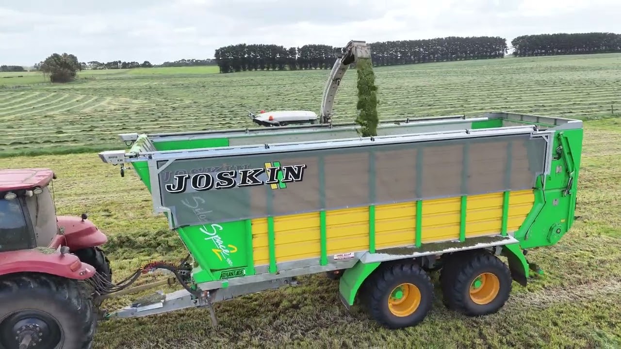 Joskin Silospace2 Silage Wagon in Action | High Capacity Forage Harvesting – South West Victoria