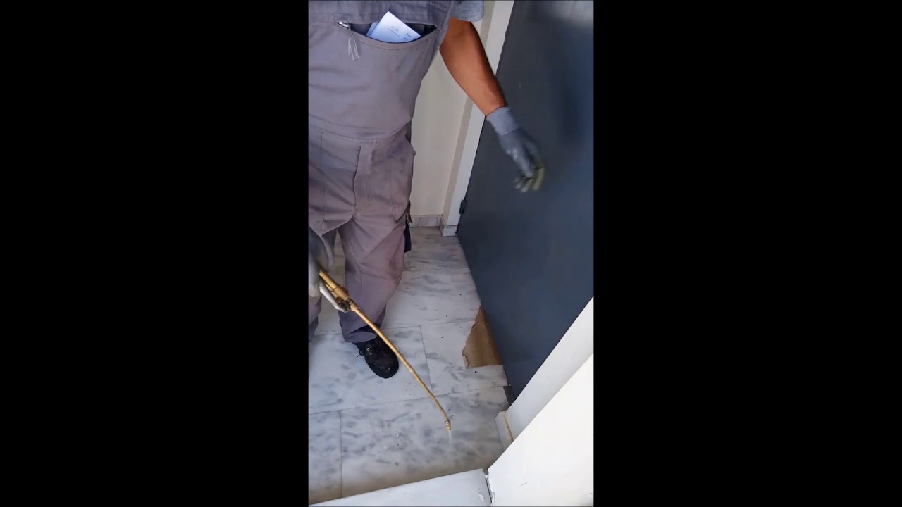 Απολυμάνσεις - Απεντομώσεις σε Πολυκατοικία