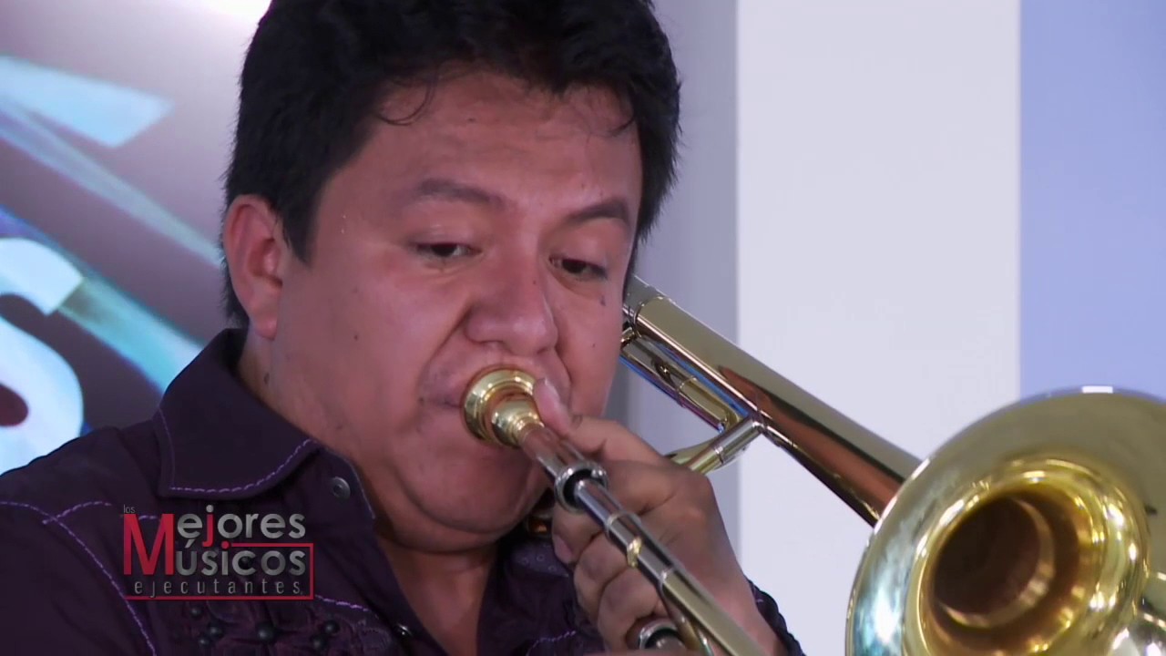 Faustino Díaz - #LMMEjecutantes #MusicaenVivo #VivalaMusicaViva #LaMusicaVivaesMejor