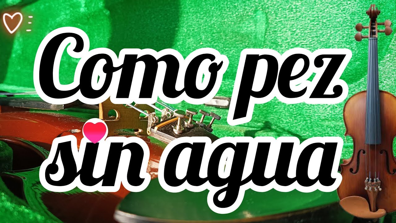 Cómo tocar Como pez sin agua (los inquietos del norte) en violín (un solo violín) en tono de 