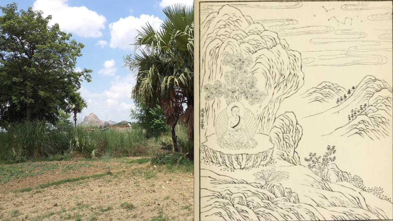 Discovery of original Bodh Gaya.  #bodhitree  #buddha   #bodhgaya