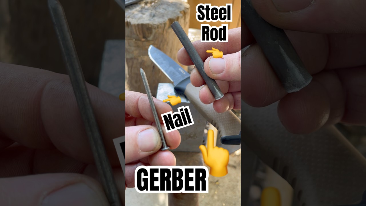 It&rsquo;s GERBER Prodigy day #shorts #knifestuffwedo #nailtest #knifetest #fixedblade