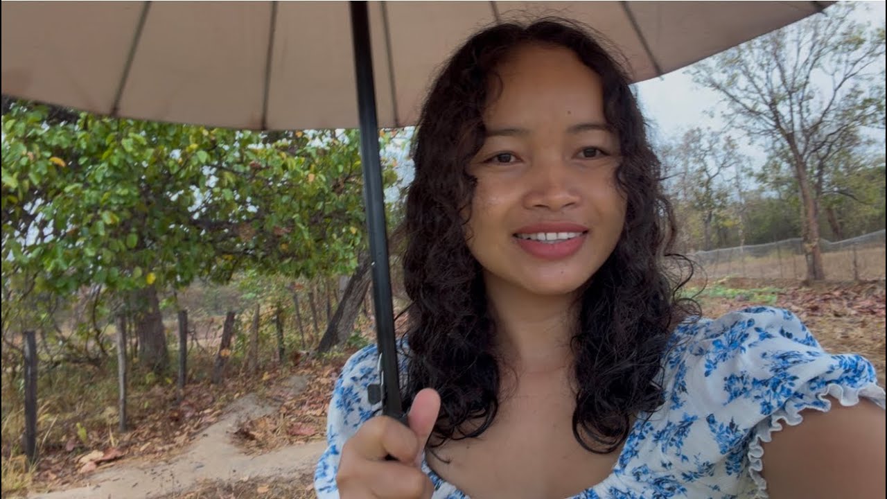 ຝົນຕົກແຕ່ເຊົ້າອາກາດເຢັນດີ🇱🇦เย็นชุ่มฉ่ำ บรรยากาศยามเช้าฝนแรกของปีนี้