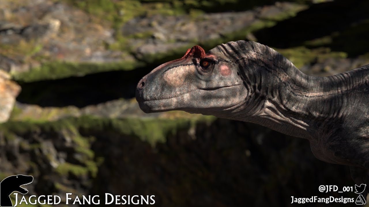 Animation Archive - 06