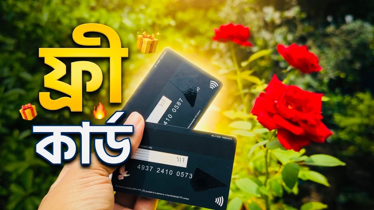 APay Vs MyPal Card! Best Virtual VisaCard for Freelancer