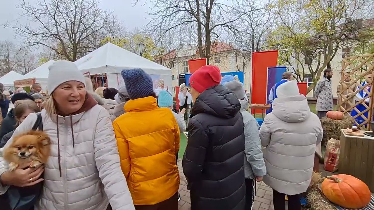 ДОЖИНКИ - ВИТЕБСКИЙ РАЙОН - ПОЛОЦК