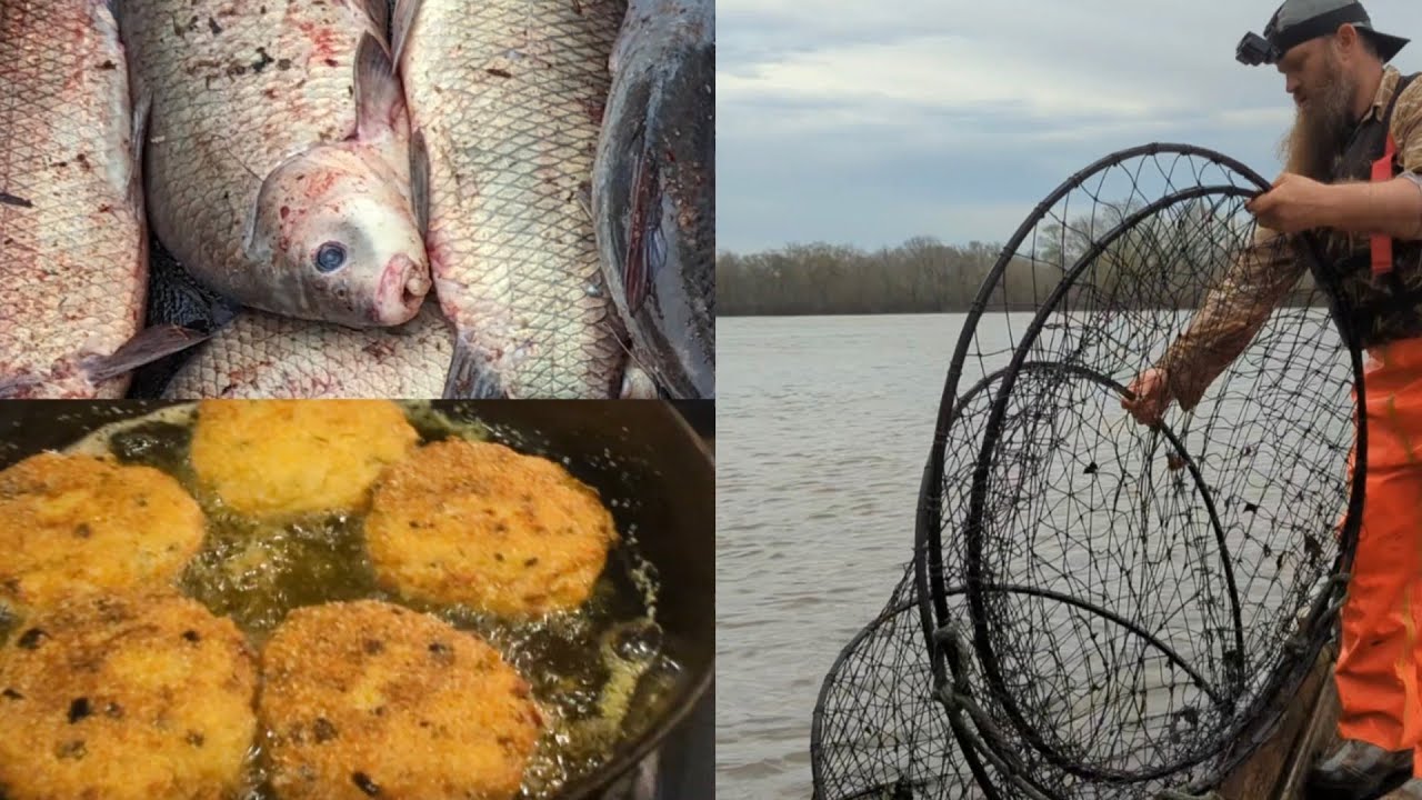 CATFISH, BUFFALO, & Two Fifths of WHISKEY!!! Buffalo Fish (CATCH* CLEAN * COOK)