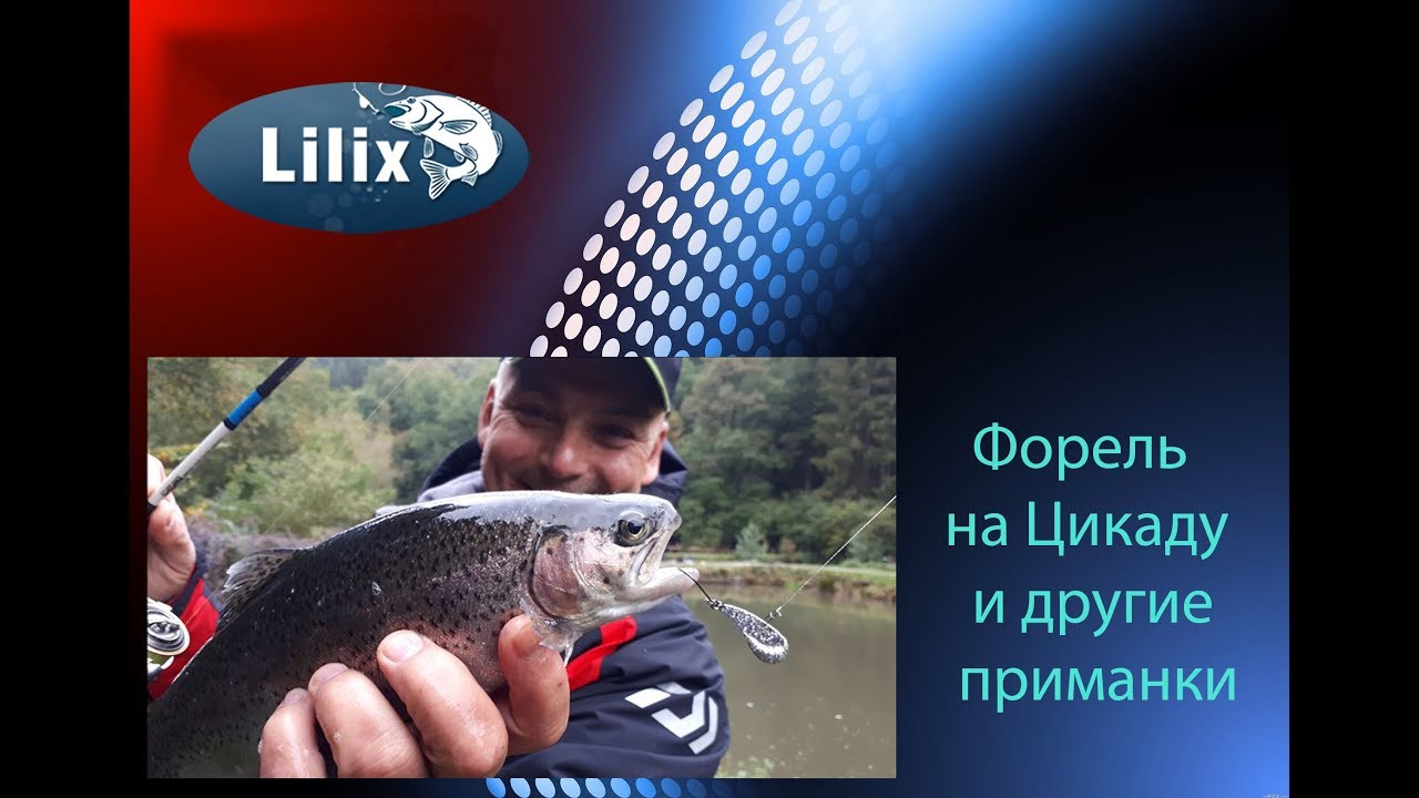 Форель на Цикаду и другие приманки