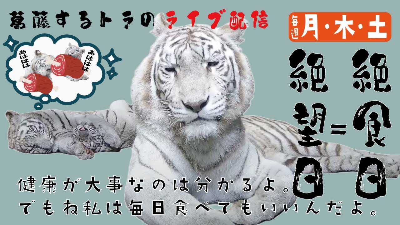 「10月2日」おかえり！シロップファミリーライブ配信