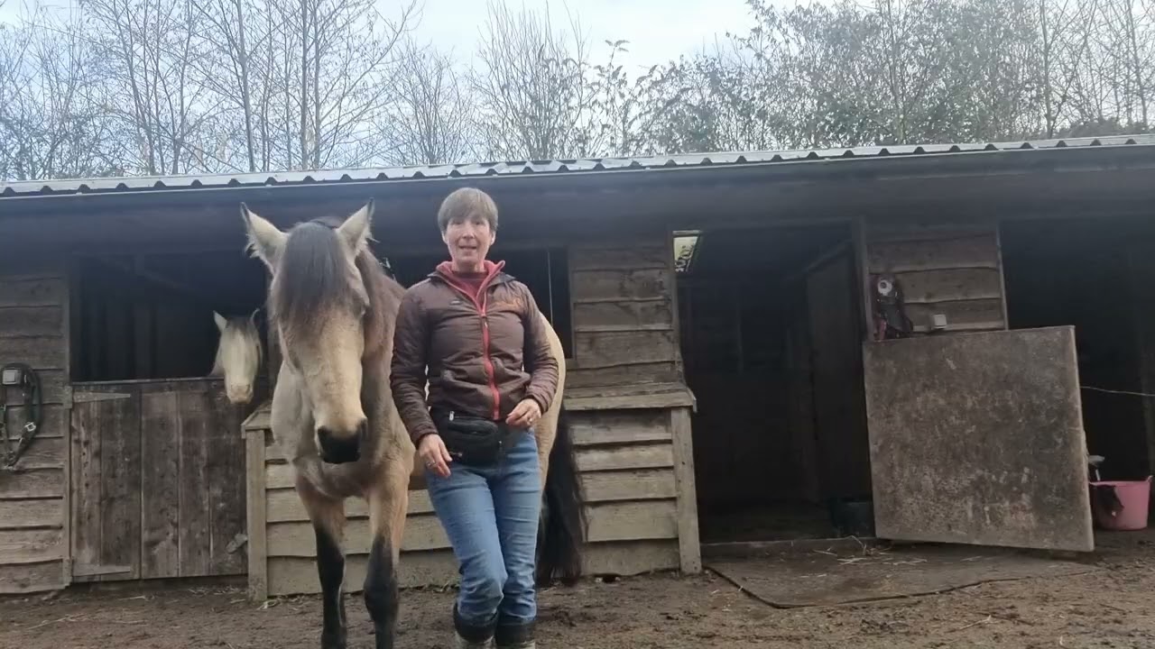 Weight off front feet