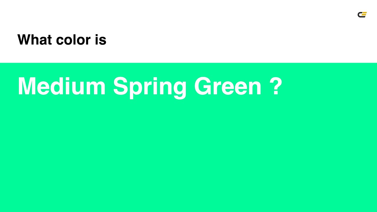 Medium Spring Green color #00fa9a hex color - Green color - Warm color 00fa9a
