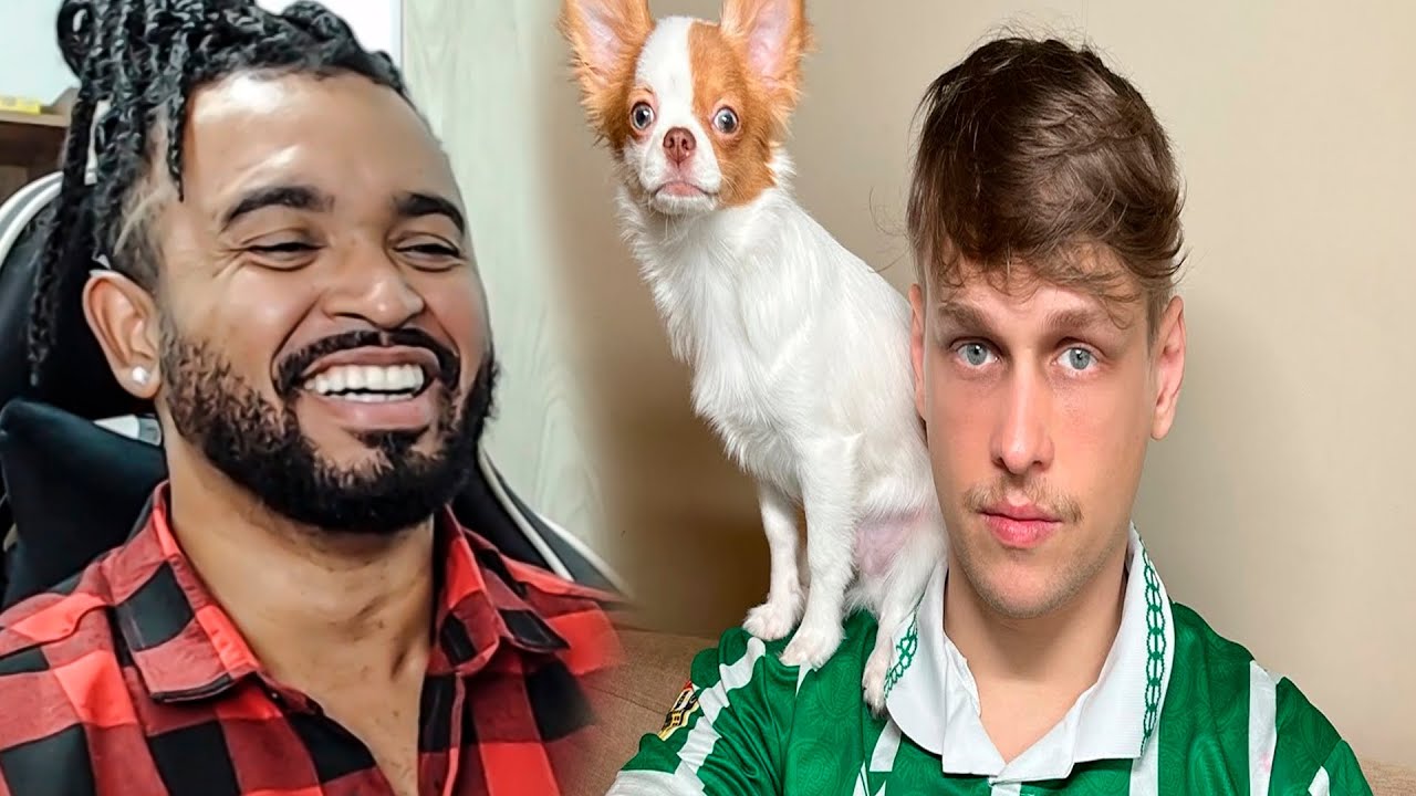 Compeladinho melhores vídeos Viniblogger - compilado tente não rir #react