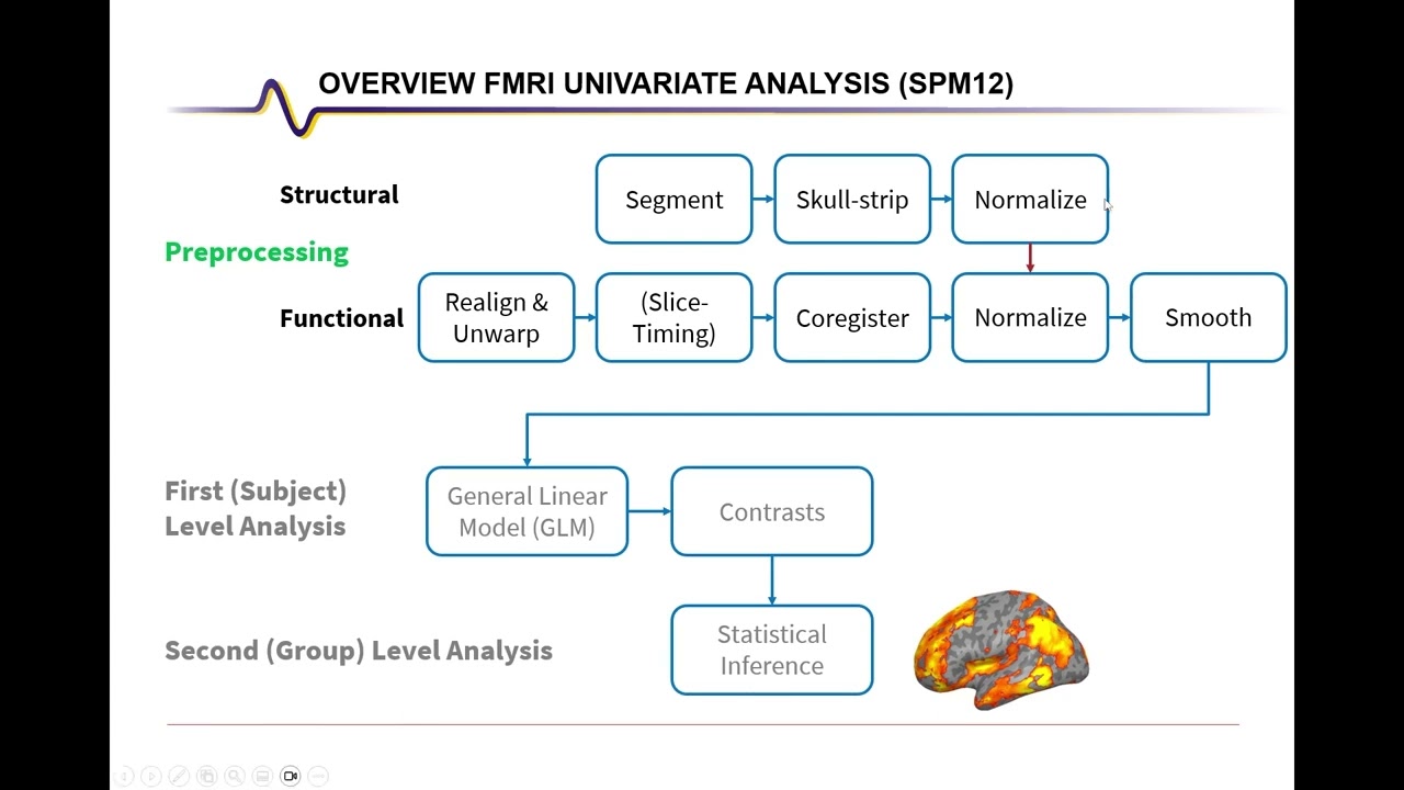 fMRI Analysis with SPM: Structural Preprocessing (with GUI)