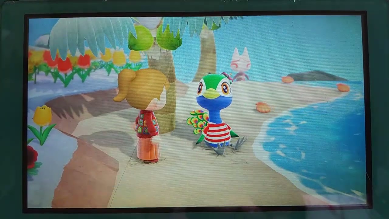 🌞あつまれどうぶつの森🏝️ 【ゆっくりのんびり動画】