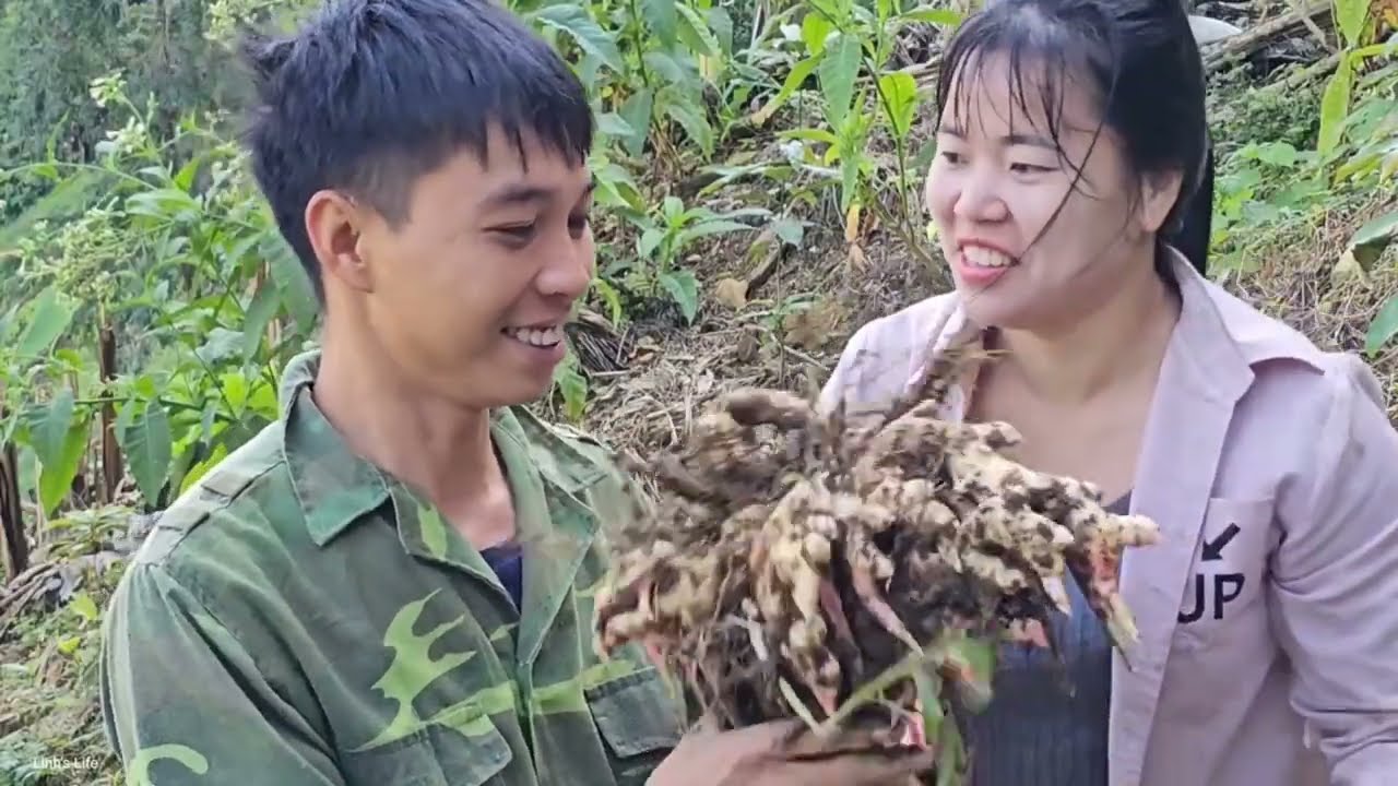 48 Hours, Harvesting Agricultural Products For Sale - Building Daily Life | Linh's Life