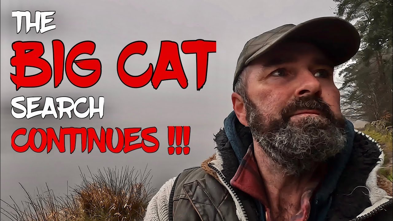 (Hiking Entwistle Reservoir, BIG CATS SEEN & REPORTED HERE !!!) #Unexplained