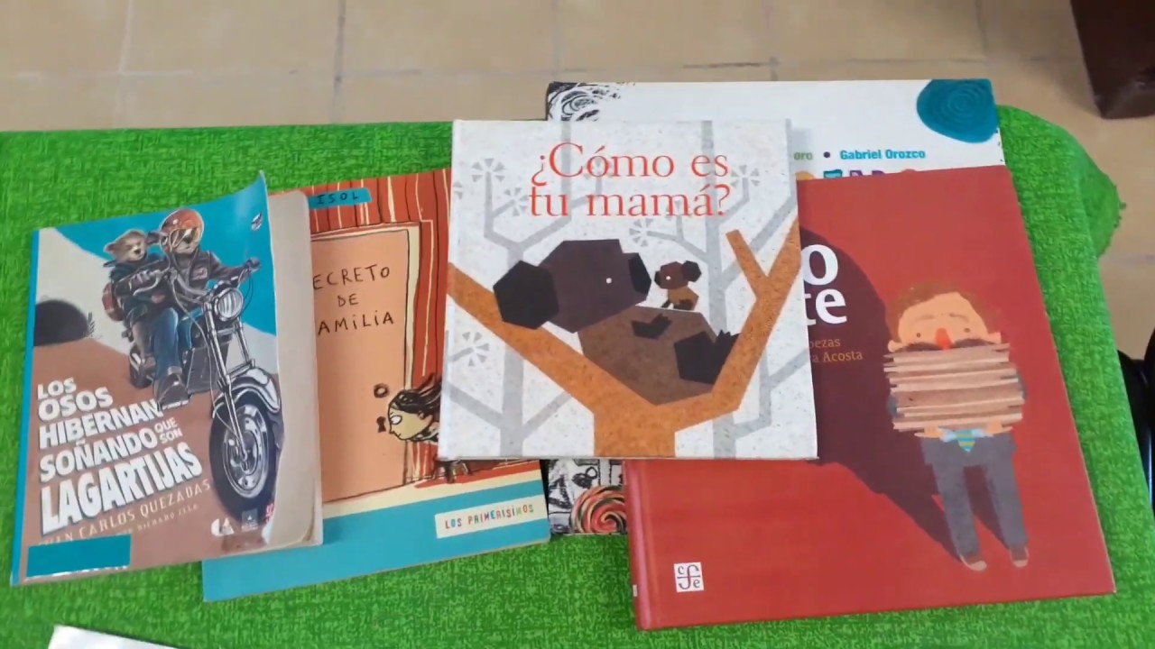 &iquest;C&Oacute;MO CLASIFICAR EL ACERVO DE LA  BIBLIOTECA ESCOLAR?