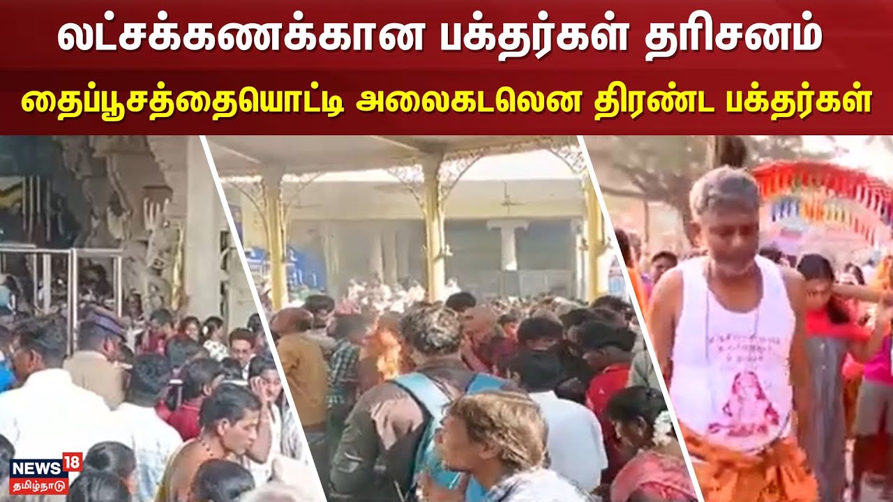 Palani Murugan | லட்சக்கணக்கான பக்தர்கள்  தரிசனம் தைப்பூசத்தையொட்டி அலைகடலென திரண்ட பக்தர்கள் | N18V