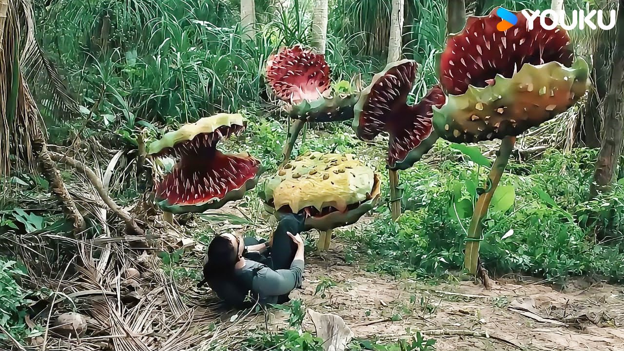 The man almost died at the mouth of the Rafflesia! | Mega Crocodile | YOUKU MONSTER MOVIE