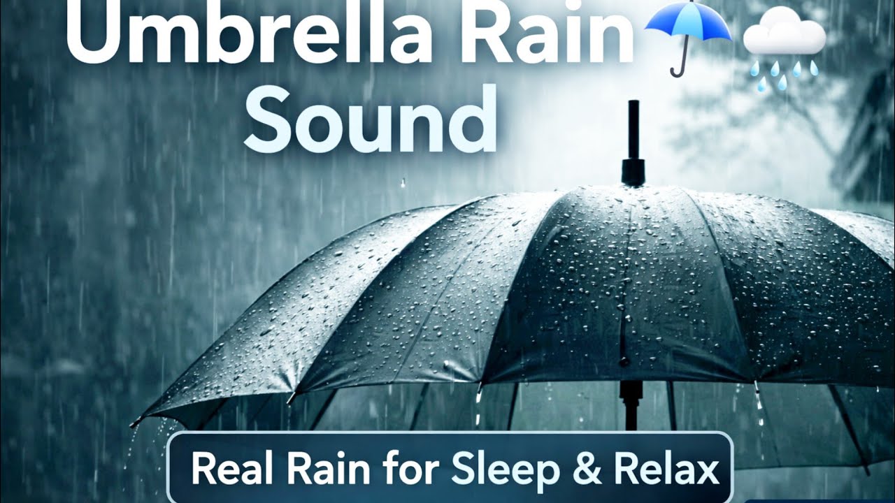Umbrella Rain Sound 🌧️ Real Rain Falling on Umbrella for Sleep & Relax