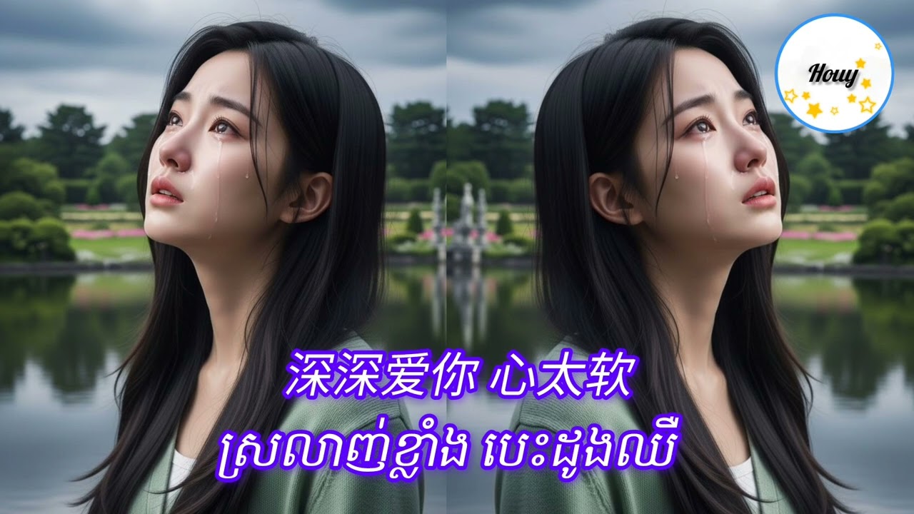 ស្រលាញ់ខ្លាំង បេះដូងឈឺ🥀 / 深深爱你 心太软