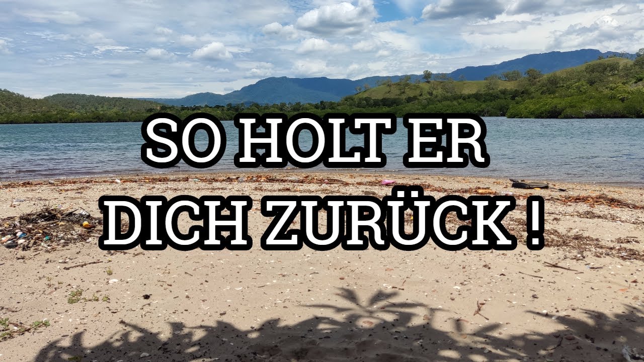Will Dich der [Narzisst] zurück ?!