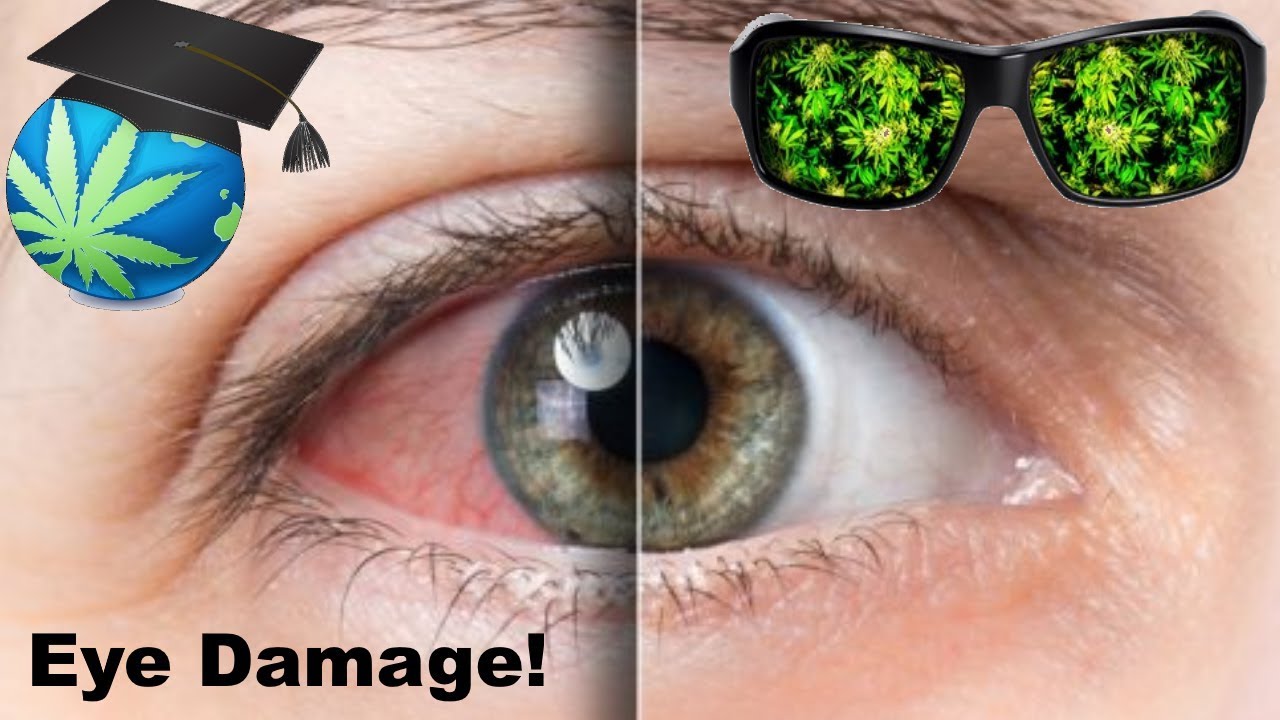 Protective Grow Room Eyewear & When You Need It
